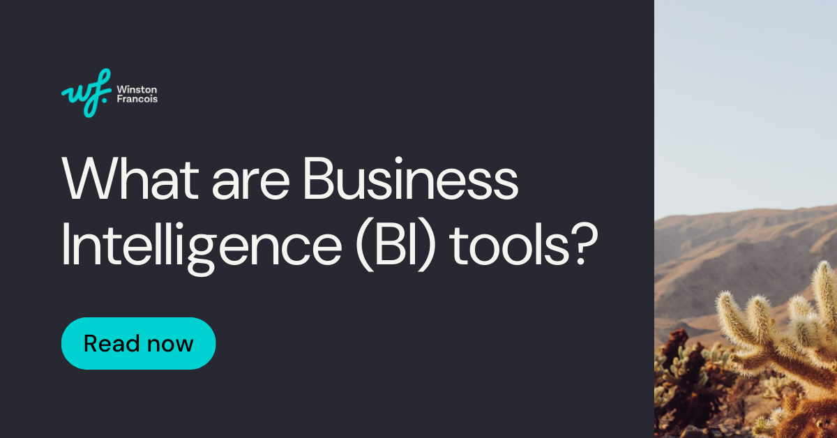 Business Intelligence (BI) tools: a complete guide